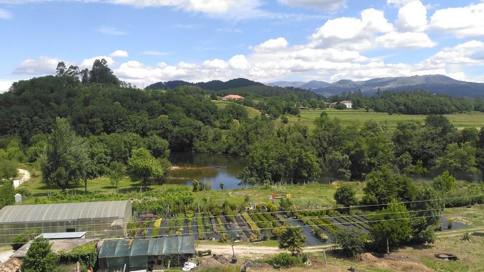 Lethes View Apartamentos Turisticos Ponte da Barca Ngoại thất bức ảnh